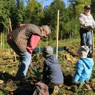 Mann pflanzt Setzlinge im Wald mit Spaten, davor sitzen zwei Kindergarten-Kinder