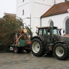 Traktor transportiert Tanne auf Hänger auf den Oberen Hauptplatz