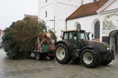 Traktor transportiert Tanne auf Hänger auf den Oberen Hauptplatz