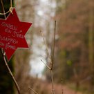 Waldweihnacht 2021 im Schindlhauser Forst