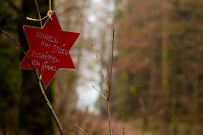 Waldweihnacht 2021 im Schindlhauser Forst