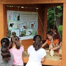Kinder an einer Infostation mit Tierspuren auf dem Naturlehrpfad