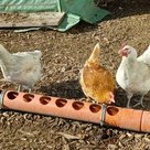 "Achtsam in den Frühling" starten
