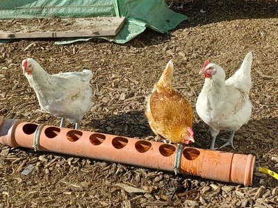"Achtsam in den Frühling" starten