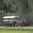 Ausflüge für Seniorinnen und Senioren