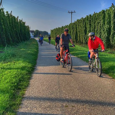 Mitglieder des ADFC bei einer Radltour durch die Hopfenfelder.