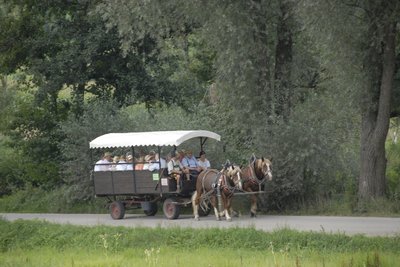 Pferdekutschenfahrt um Pfaffenhofen