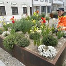 Blühende Schottergärten - Warum die Stadtwerke auf Splitt und Kies setzen