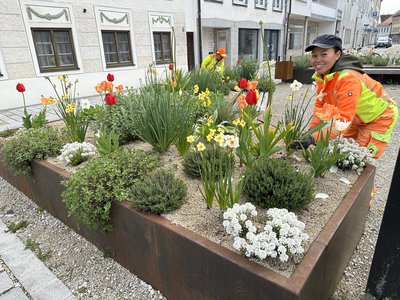 Blühende Schottergärten - Warum die Stadtwerke auf Splitt und Kies setzen