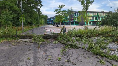 Der Stadtservice der Stadtwerke Pfaffenhofen beseitigt derzeit die schweren Sturmschäden, die in der Nacht von 11. auf 12. Juli entstanden sind. 