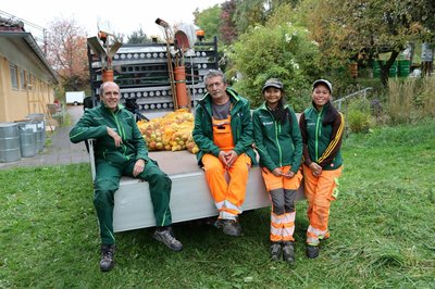 Über jede Unterstützung in Form von Äpfeln glücklich: Das Team Stadtgrün der Stadtwerke Pfaffenhofen.