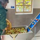 Das Team Stadtgrün der Stadtwerke Pfaffenhofen rückt am 24. Oktober ein weiteres Mal aus, um Äpfel im Stadtgebiet zu sammeln. 