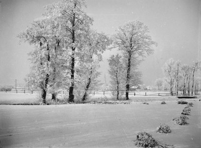 Winterstimmung bei Pfaffenhofen (um 1930) 