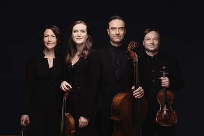 Das Streichquartett „Diogenes Quartett“ ist Anfang Februar zu Gast in Pfaffenhofen. 