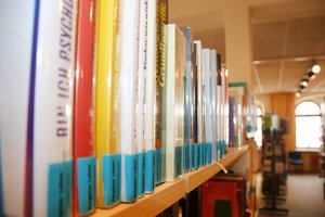 Knapp 55.000 Bücher gingen 2023 in der Stadtbücherei über die Theke. 