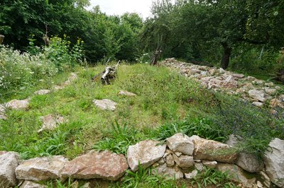 Natürlicher Klima- und Artenschutz im InterKulturGarten:
Der InterKulturGarten Pfaffenhofen an der Ilm ist reich an verschiedenen Lebensräumen wie Baum, Lesesteine, Trockenmauer, Todholz und Sandarium.