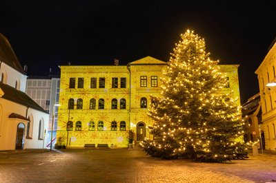 Jedes Jahr schmückt ein großer Christbaum den Oberen Hauptplatz.