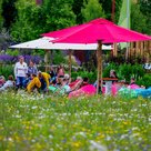 Das Seniorenbüro bietet einen gemeinsamen Ausflug zur Landesgartenschau nach Kirchheim an.