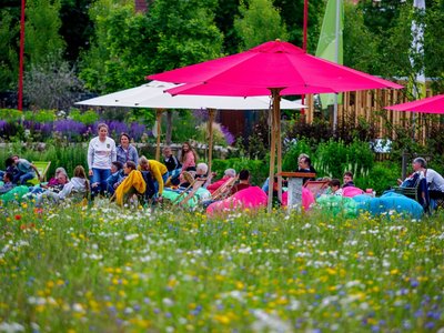 Das Seniorenbüro bietet einen gemeinsamen Ausflug zur Landesgartenschau nach Kirchheim an.