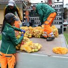 Das Team Stadtgrün der Stadtwerke Pfaffenhofen sammelt am 15. und 22. Oktober erneut Äpfel. 