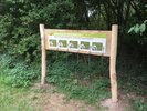Holztafel mit Informationen und Bildern am Biberlehrpfad, im Hintergrund Büsche und Bäume