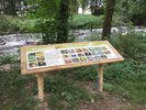 Holztafel mit Informationen und Bildern am Biberlehrpfad, im Hintergrund Bäume und die Ilm