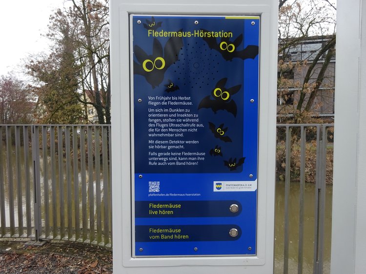 Bild der Fledermaus-Hörstation im Bürgerpark
