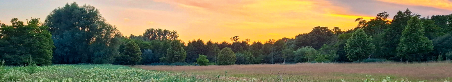 Sonnenuntergang im Park