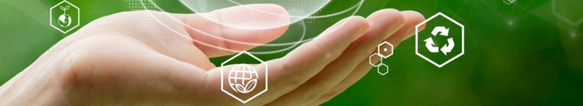 Bild zeigt eine nach oben geöffnete Hand vor grünem Hintergrund