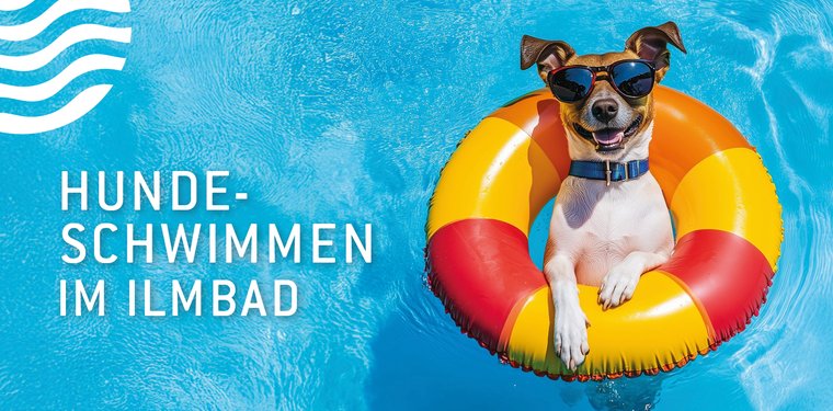 Hund in Schwimmreifen mit Sonnenbrille, "Hundeschwimmen im IIlmbad"