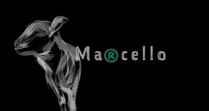 Kurzfilmnacht Marcello