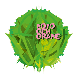 Grüner Kreis mit pinker Schrift "Fotogehgrafie"