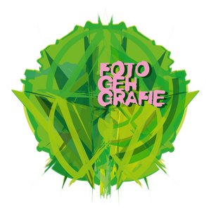 Grün-pinkes Logo der Fotogehgrafie 2025