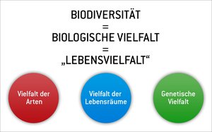 Plakat: Biodiversität = Lebensvielfalt. Vielfalt der Arten, der Lebensräume und genetische Vielfalt