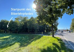 Startpunkt Biberlehrpfad