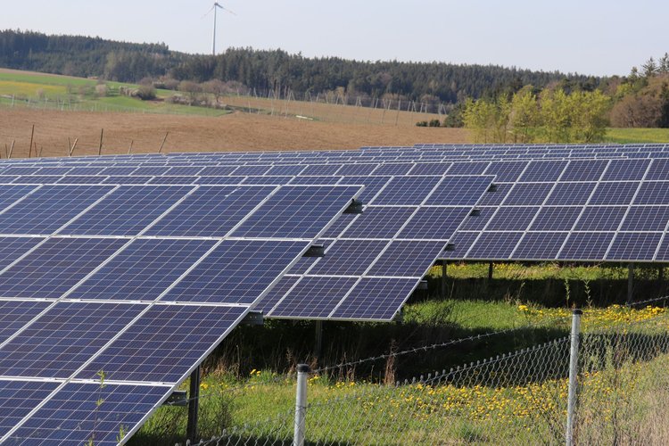 Freiflächen-Photovoltaikanlage im Grünen