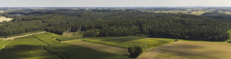 Luftaufnahme eines Waldgebiets. Dahinter Himmel und Windräder, davor Felder und Hopfengärten