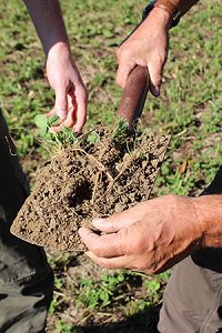 img_8974_web.jpg