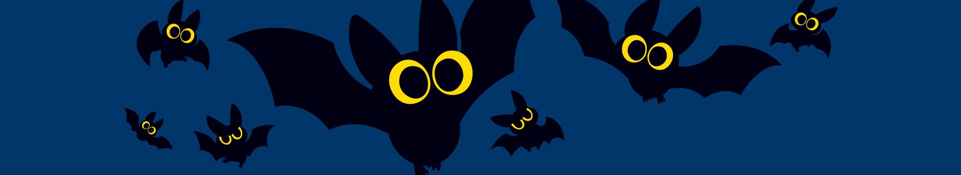 paf_fledermausstation_artikelheader