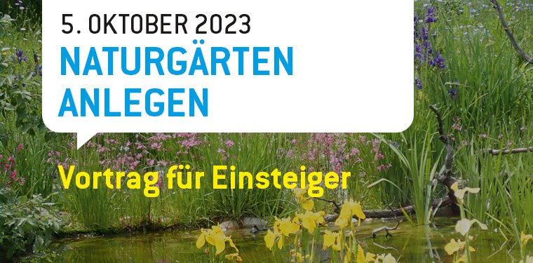 Sprechblase mit Text: 5. Oktober 2023 Naturgärten anlegen; im Hintergrund ein Teich zu sehen. Gelber Schriftzug: Vortrag für Einsteiger